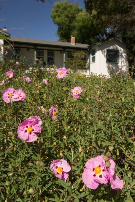 Wine Country Bungalow Atascadero Luaran gambar